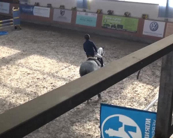 Reitturnier Grevenbroich - Gut Neuhaus 2017