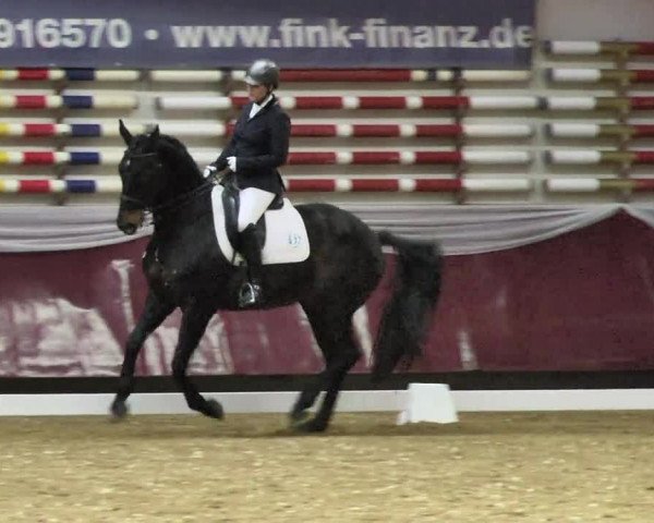 Reitturnier Eicherloh RH Laurent 2017
