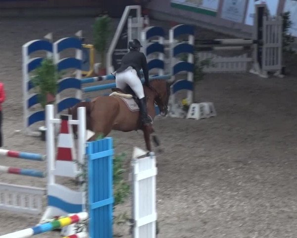 Reitturnier Grevenbroich - Gut Neuhaus 2017
