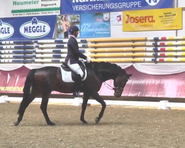 Reitturnier Eicherloh RH Laurent 2017