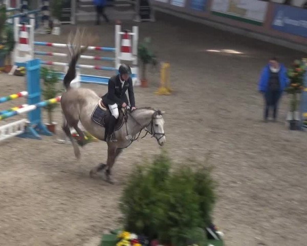 Reitturnier Grevenbroich - Gut Neuhaus 2017