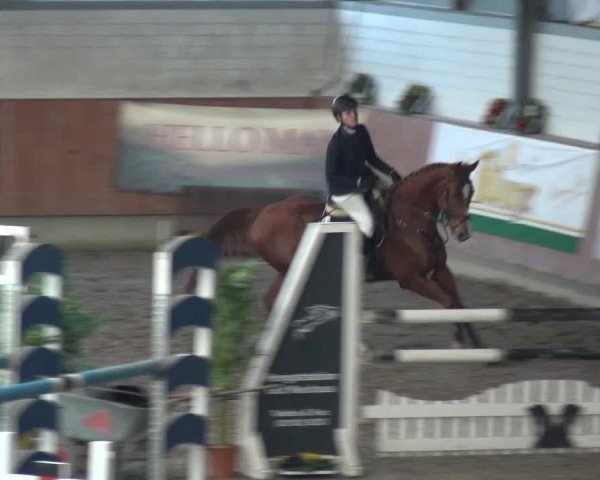 Reitturnier Grevenbroich - Gut Neuhaus 2017