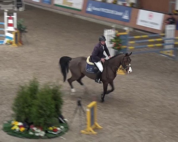 Reitturnier Grevenbroich - Gut Neuhaus 2017