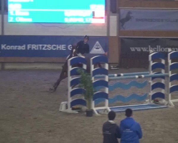 Reitturnier Grevenbroich - Gut Neuhaus 2017