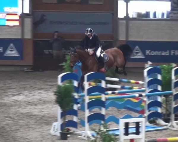 Reitturnier Grevenbroich - Gut Neuhaus 2017