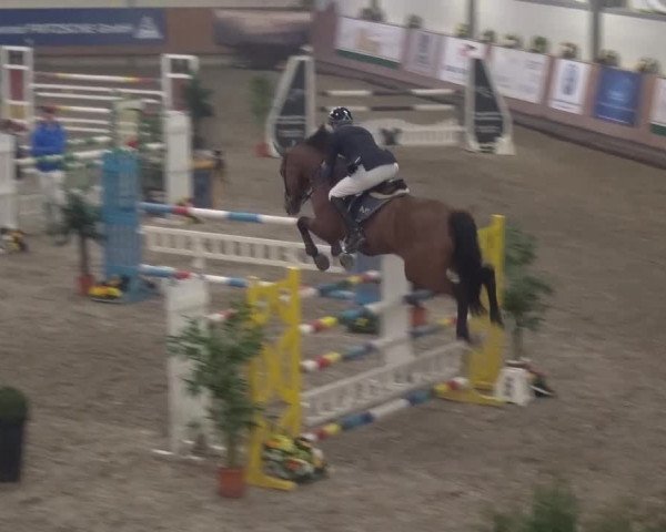 Reitturnier Grevenbroich - Gut Neuhaus 2017