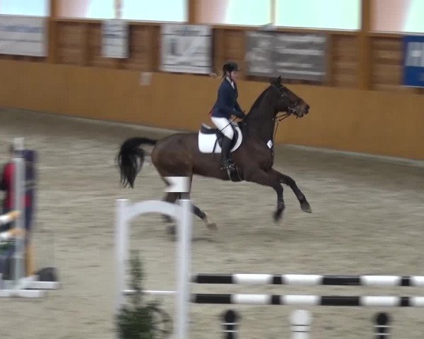 Reitturnier Xanten 2017
