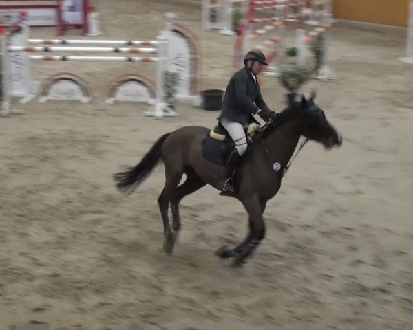 Reitturnier Xanten 2017