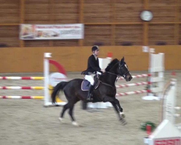 Reitturnier Xanten 2017