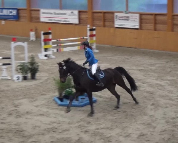 Reitturnier Xanten 2017