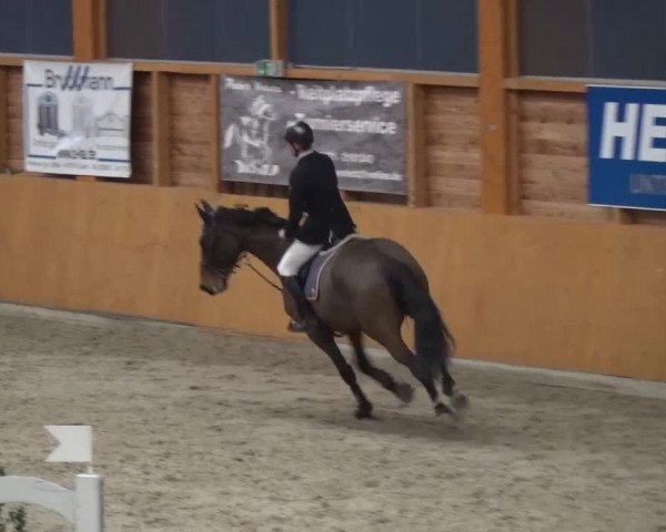 Reitturnier Xanten 2017