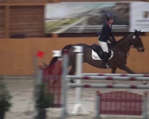 Reitturnier Xanten 2017