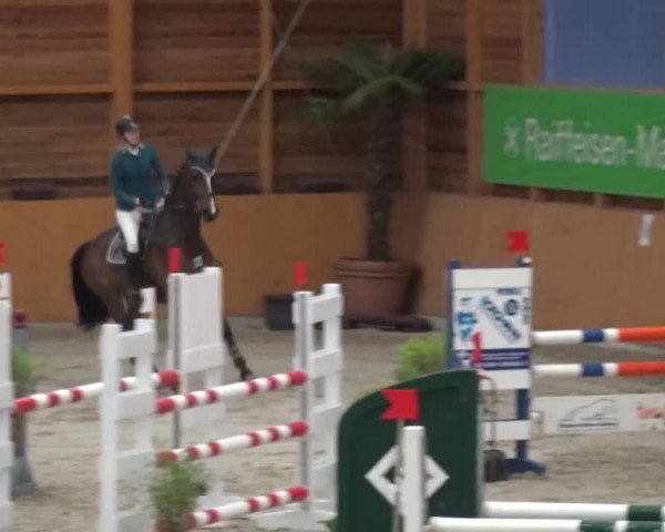 Reitturnier Xanten 2017
