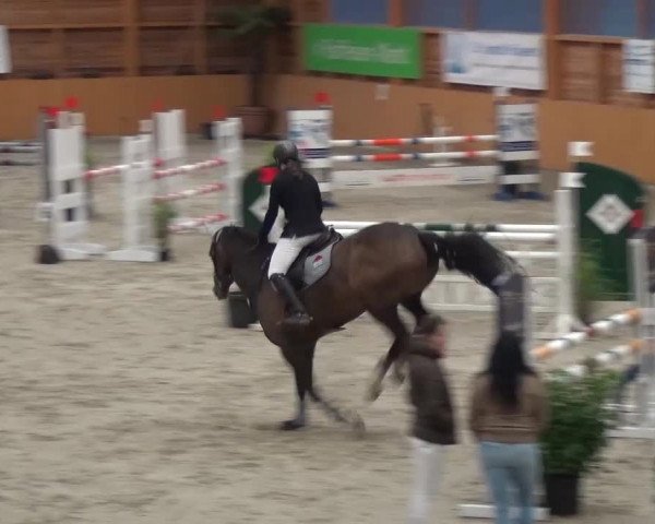 Reitturnier Xanten 2017