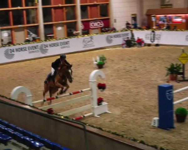 Christmas Jumping Trophy Prussendorf 2021