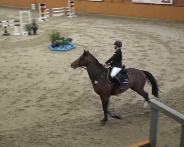 Reitturnier Xanten 2017