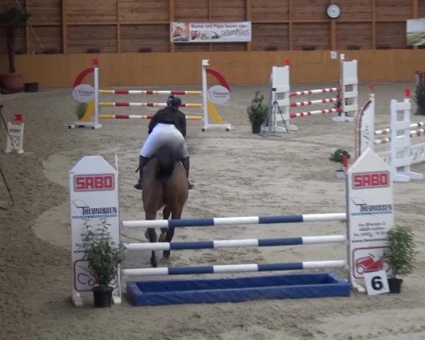 Reitturnier Xanten 2017