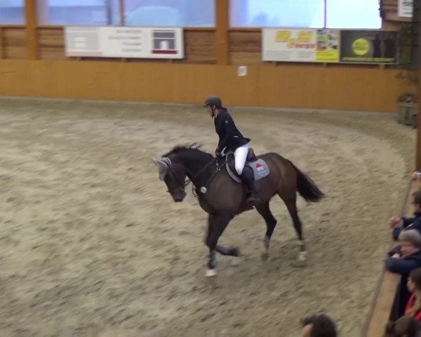 Reitturnier Xanten 2017