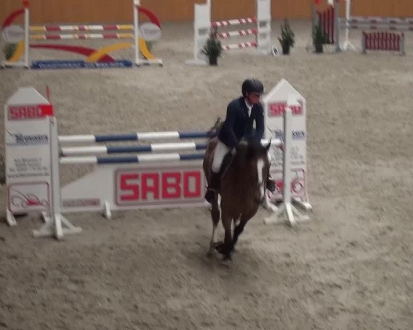 Reitturnier Xanten 2017