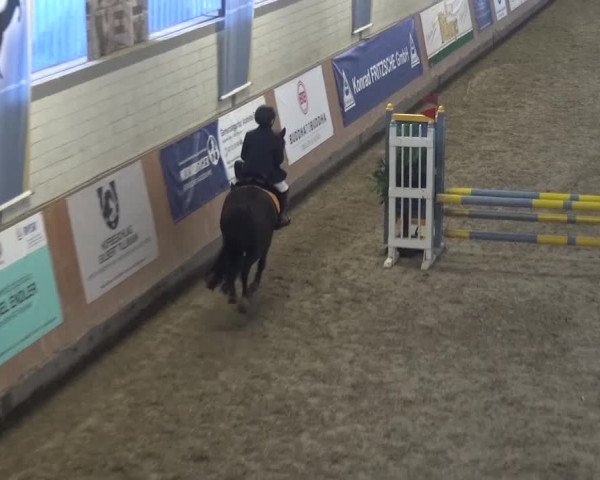 Reitturnier Grevenbroich - Gut Neuhaus 2017