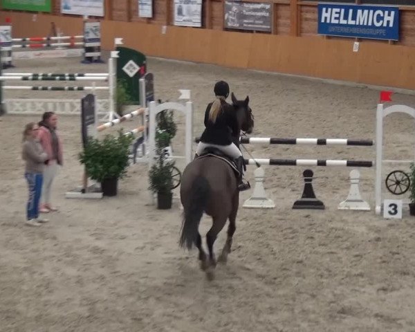 Reitturnier Xanten 2017