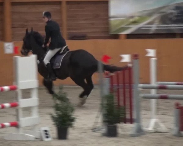 Reitturnier Xanten 2017