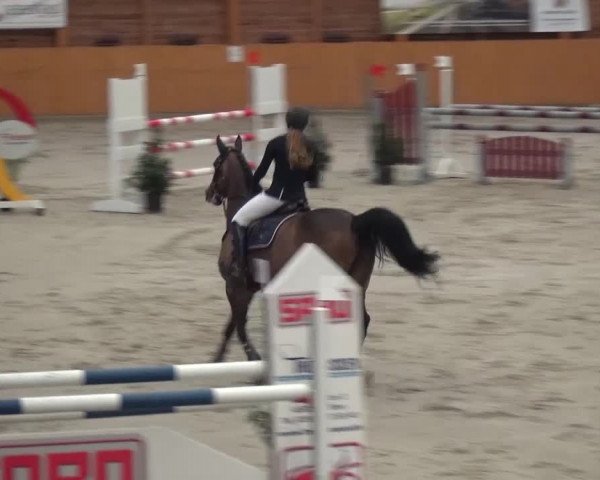 Reitturnier Xanten 2017