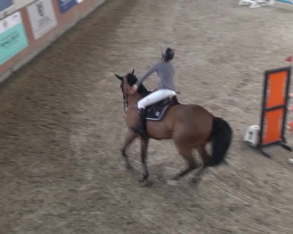 Reitturnier Grevenbroich - Gut Neuhaus 2017