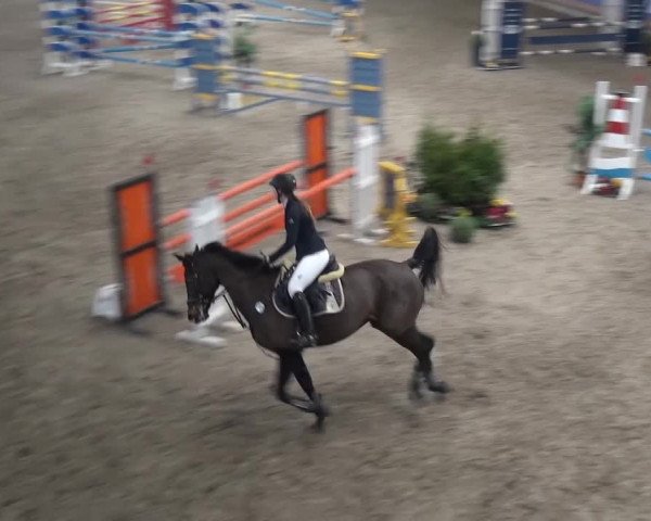 Reitturnier Grevenbroich - Gut Neuhaus 2017