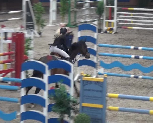 Reitturnier Grevenbroich - Gut Neuhaus 2017