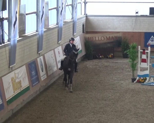 Reitturnier Grevenbroich - Gut Neuhaus 2017