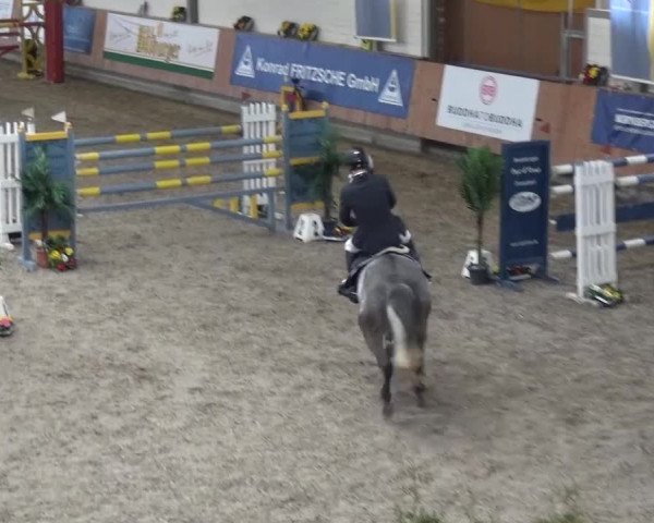 Reitturnier Grevenbroich - Gut Neuhaus 2017