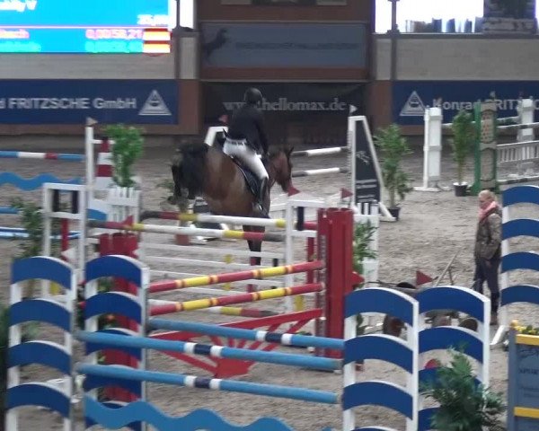 Reitturnier Grevenbroich - Gut Neuhaus 2017