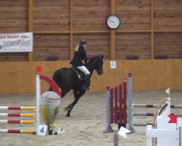 Reitturnier Xanten 2017