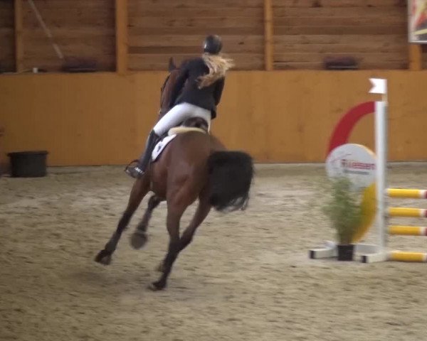 Reitturnier Xanten 2017