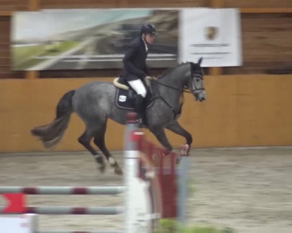 Reitturnier Xanten 2017