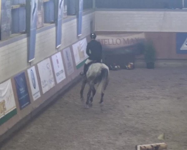 Reitturnier Grevenbroich - Gut Neuhaus 2017