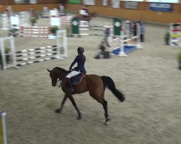 Reitturnier Xanten 2017