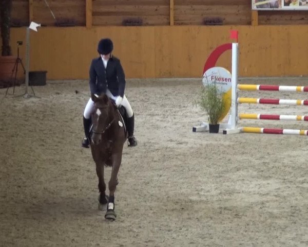 Reitturnier Xanten 2017