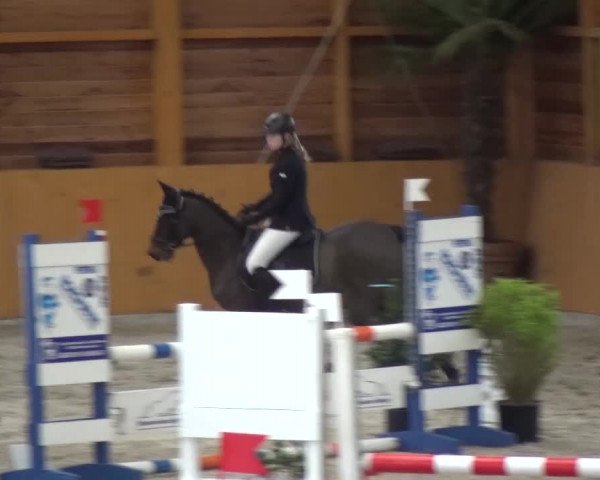 Reitturnier Xanten 2017