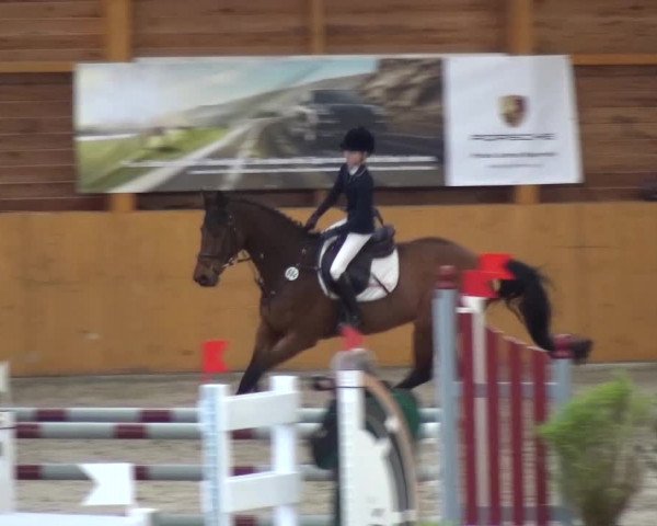 Reitturnier Xanten 2017