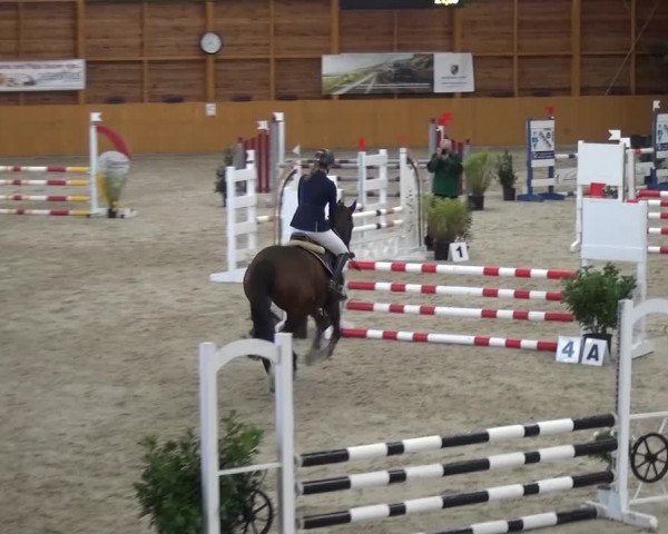 Reitturnier Xanten 2017