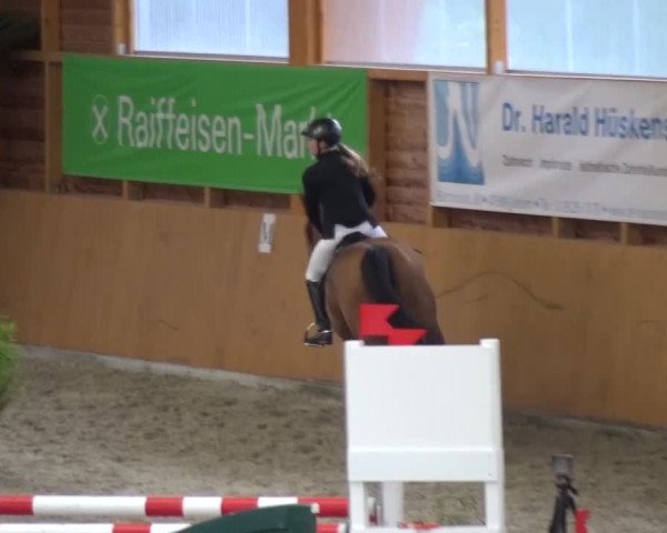Reitturnier Xanten 2017