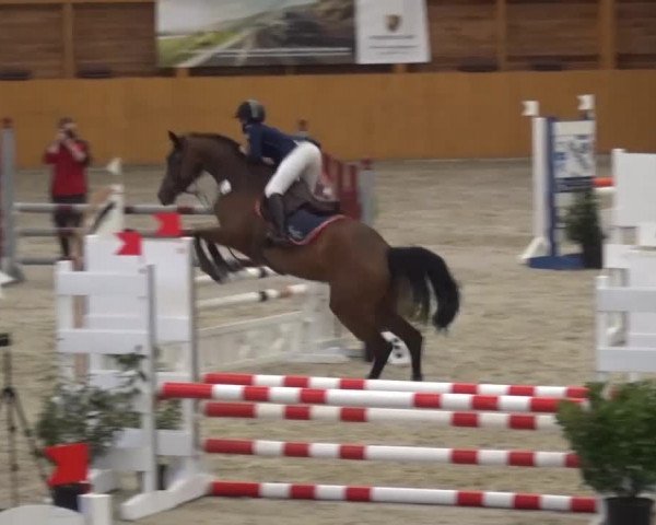 Reitturnier Xanten 2017