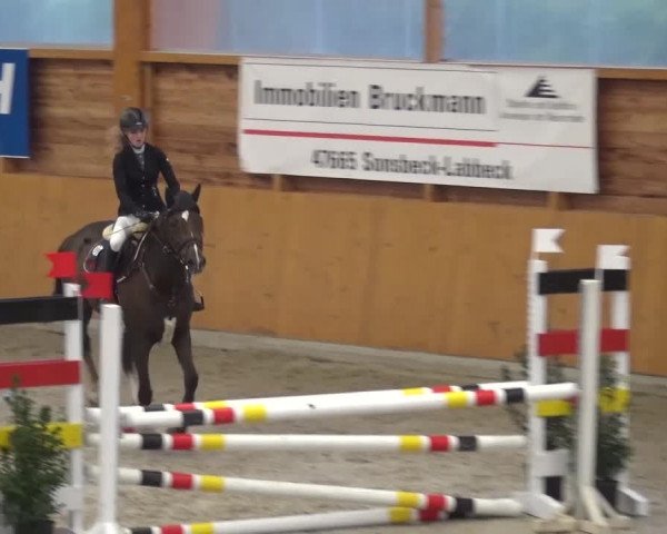 Reitturnier Xanten 2017