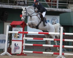 jumper Flugano vd Krekebeke (Belgian Warmblood, 2005, from Cassino Z)