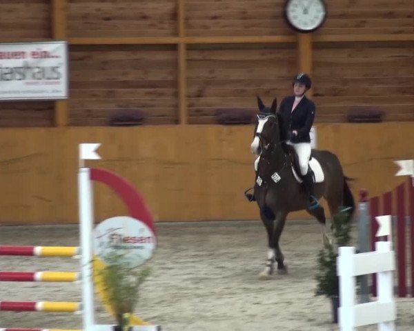 Reitturnier Xanten 2017