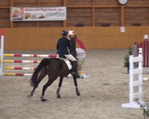 Reitturnier Xanten 2017