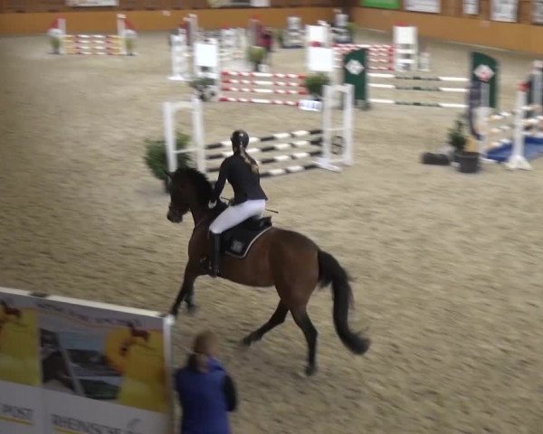 Reitturnier Xanten 2017