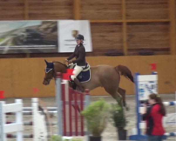 Reitturnier Xanten 2017